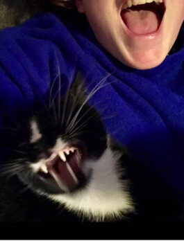 niamh riordan